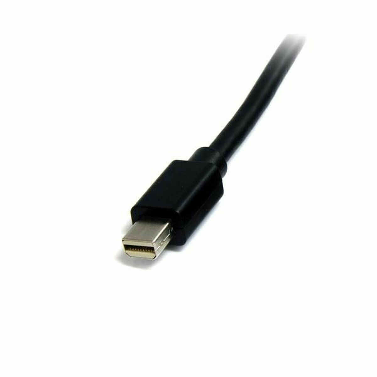 Mini Display Port -kaapeli Startech MDISP2M 4K Ultra HD 2 m Musta